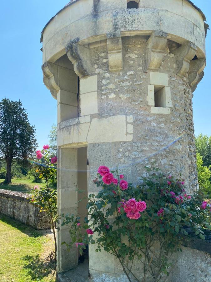 Domaine De Migny Villa Saint-Cyran-du-Jambot Esterno foto